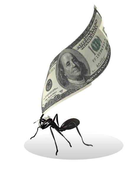 Ant carrying a $100 bill